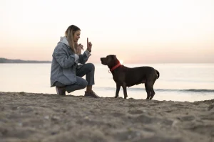 Socialising Puppy Early is Crucial for Their Behaviour and Development
